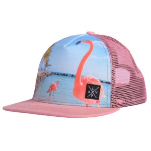 LP CASQUETTE SNAPBACK ( FLAMANTS )