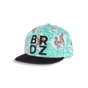 BIRDZ CASQUETTE HUARD TURQUOISE ET BLEU