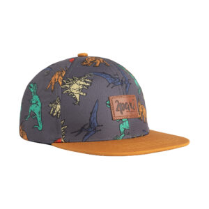 DEUX PAR DEUX PRINTEMPS 2023 CASQUETTE DINOSAURES GRISE (EN STOCK)