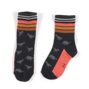 NANO PRINTEMPS 23 EXPLORER LE PASSÉ CHAUSSETTES (EN STOCK)