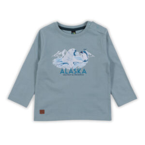 NANO AUTOMNE 23 BÉBÉ GARÇON NATURE ARCTIQUE CHANDAIL TURQUOISE