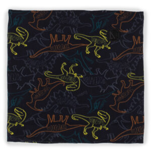 NANO AUTOMNE/HIVER 23 JERSEY & POLAR (CACHE COU) NOIR DINO (EN STOCK)