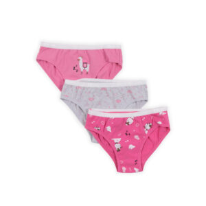 NANO SOUS-VÊTEMENTS PAQUET DE 3 CULOTTES FUSHIA (EN STOCK)