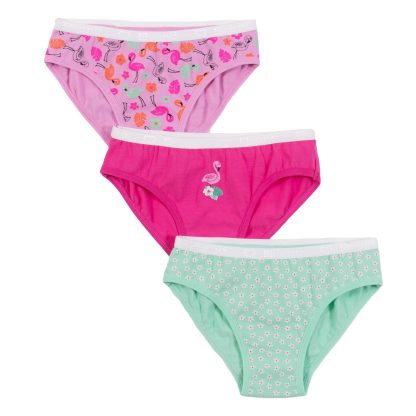 NANO PRINTEMPS 24 SOUS-VÊTEMENTS PAQUET DE 3 CULOTTES FUSHIA FLAMAND