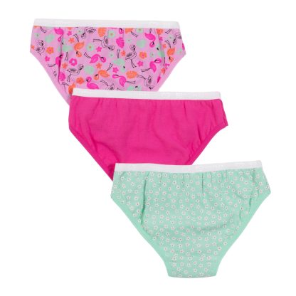 NANO PRINTEMPS 24 SOUS-VÊTEMENTS PAQUET DE 3 CULOTTES FUSHIA FLAMAND – Image 3