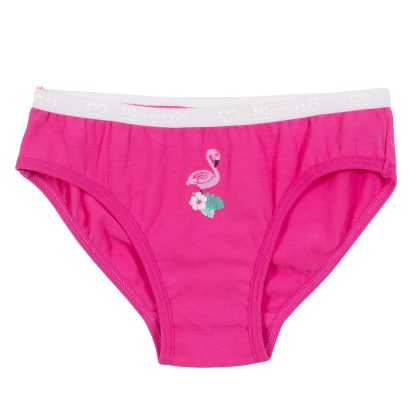 NANO PRINTEMPS 24 SOUS-VÊTEMENTS PAQUET DE 3 CULOTTES FUSHIA FLAMAND – Image 5