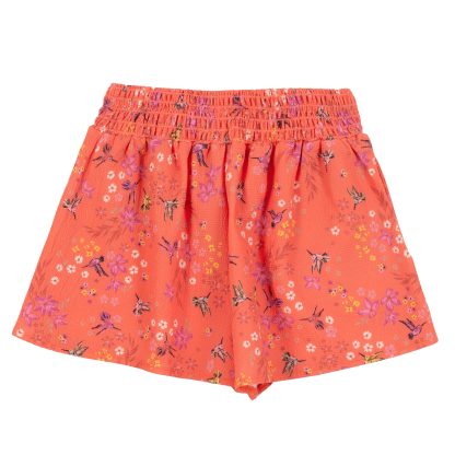 PRÉCOMMANDE NANO PRINTEMPS 25 JOLI COLIBRI SHORT AMPLE – Image 2