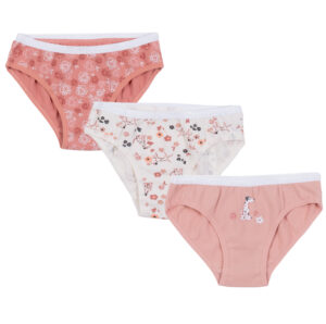 NANO AUTOMNE 25 SOUS-VÊTEMENTS PAQUET DE 3 CULOTTES ROSE PÂLE