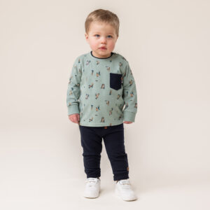 NANO AUTOMNE 25 MON STYLE ANGLAIS CHANDAIL MANCHE LONGUE VERT