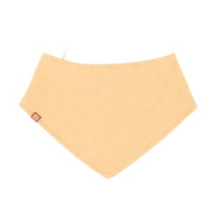 S2656-10(bib-reverse)